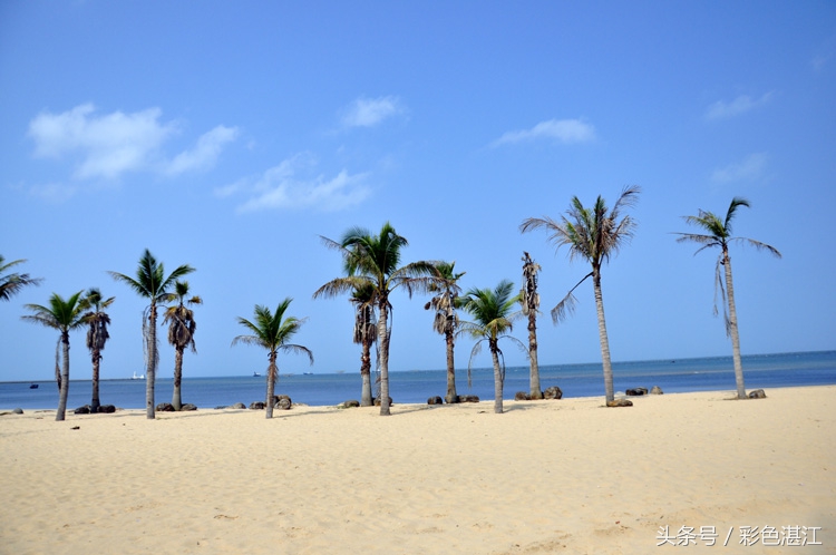 雷州乌石天成台旅游攻略,广东雷州市乌石镇旅游攻略