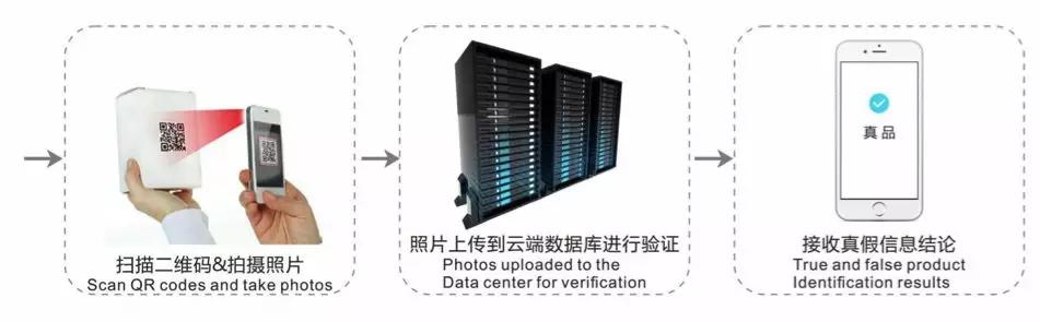 如何确保不会买到假表,防伪知识和技巧