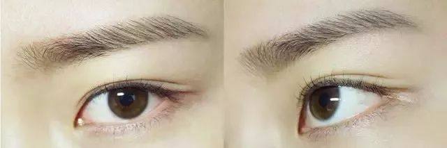 手残党没有眉形画眉教程,手残党的正确画眉和修眉教程