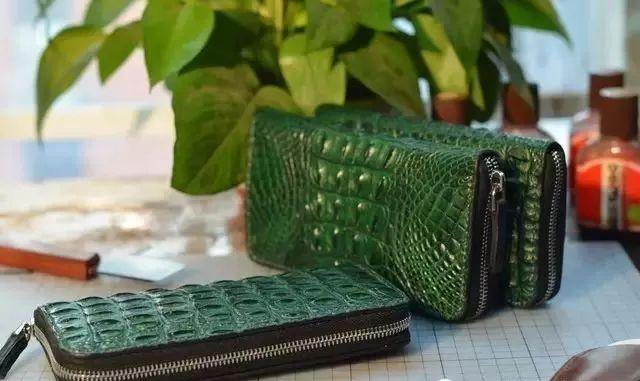 怎样辨别鳄鱼皮具,鳄鱼皮具最新视频