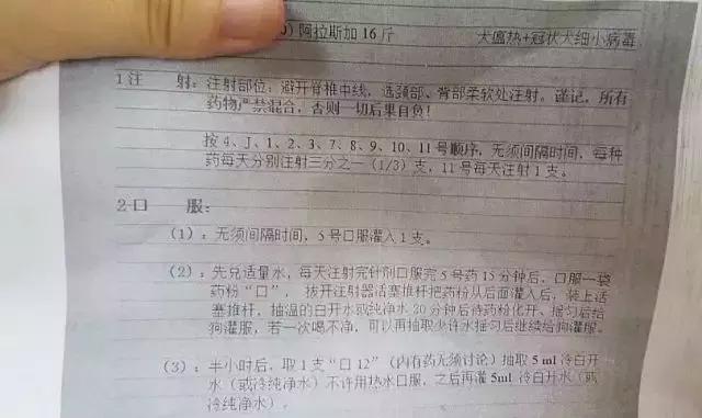 谁给你的勇气卖假药，3.15宠物行业也有血雨腥风