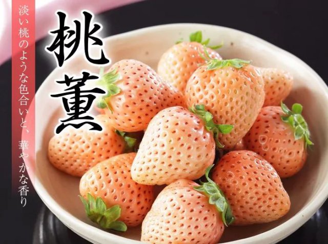 陈冠希吃的苹果,陈冠希吃的白草莓什么品种