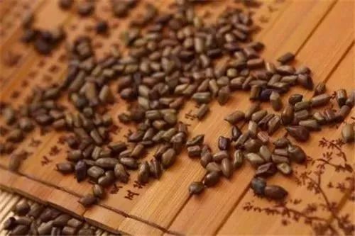 颈椎保健按摩枕头十大名牌,老傅家颈椎按摩枕头黑科技