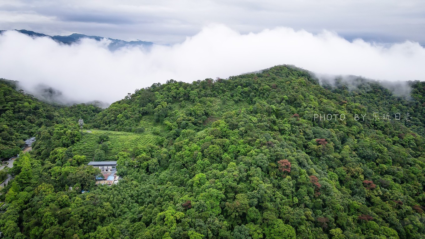 享受鼎湖山绝美风景,换个角度的风景