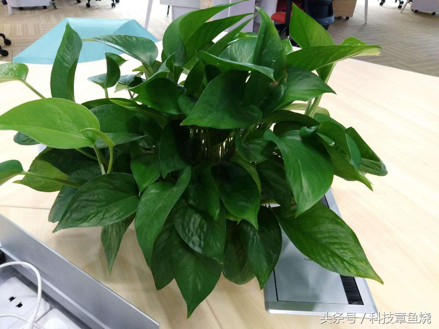 荣耀7c人脸双摄,荣耀7c人脸识别双摄