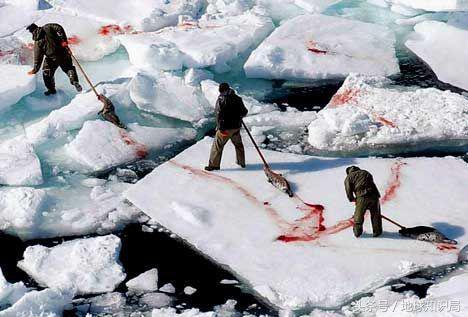 中国和美国的蜜月,中国和美国的蜜月时期