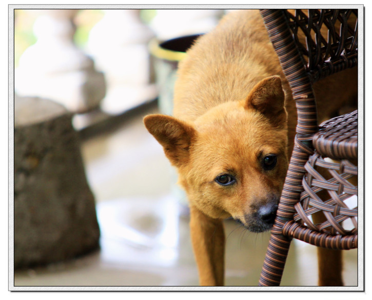 龙泉市好吃美食,丽水市龙泉市特色美食