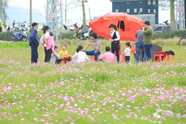 黄沙蚬新会,江门新会黄沙蚬季节