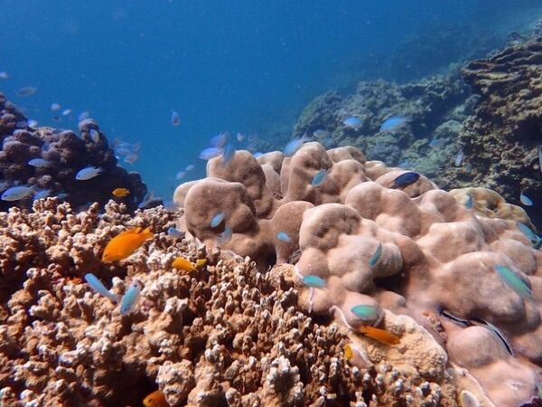 泰国普吉岛7天旅游攻略,泰国普吉岛自由行攻略9天