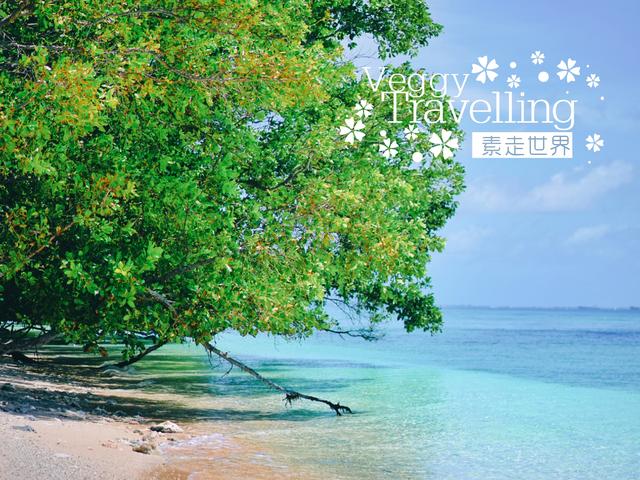 这个即将沉没的国家因专家一句话燃起了希望事实怎样自己去看