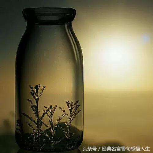 什么是心眼多了就叫缺心,什么是心眼多表现在哪里