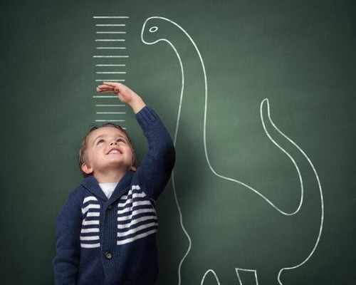 吃什么品牌奶粉能帮助宝宝长高,11岁女孩喝什么牌子的奶粉能长高