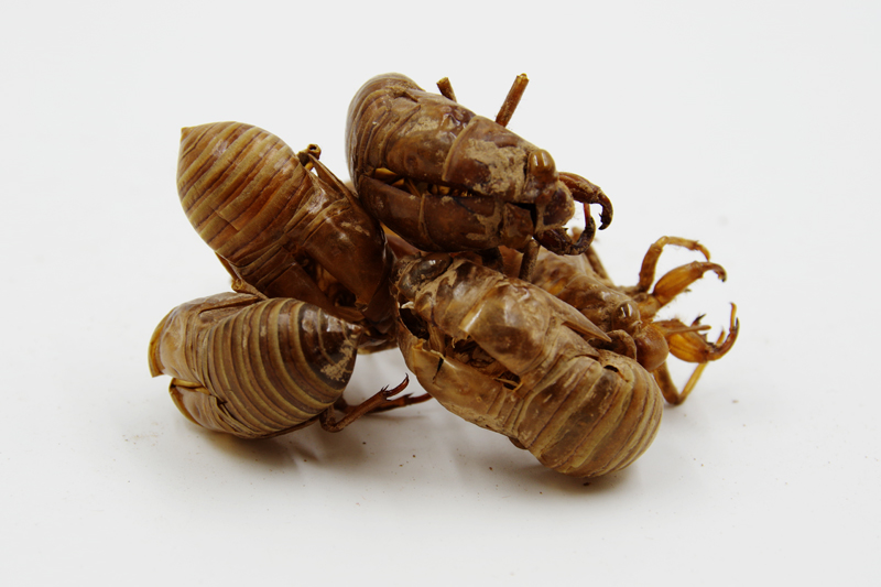 李祥云中医,中医专家李祥云