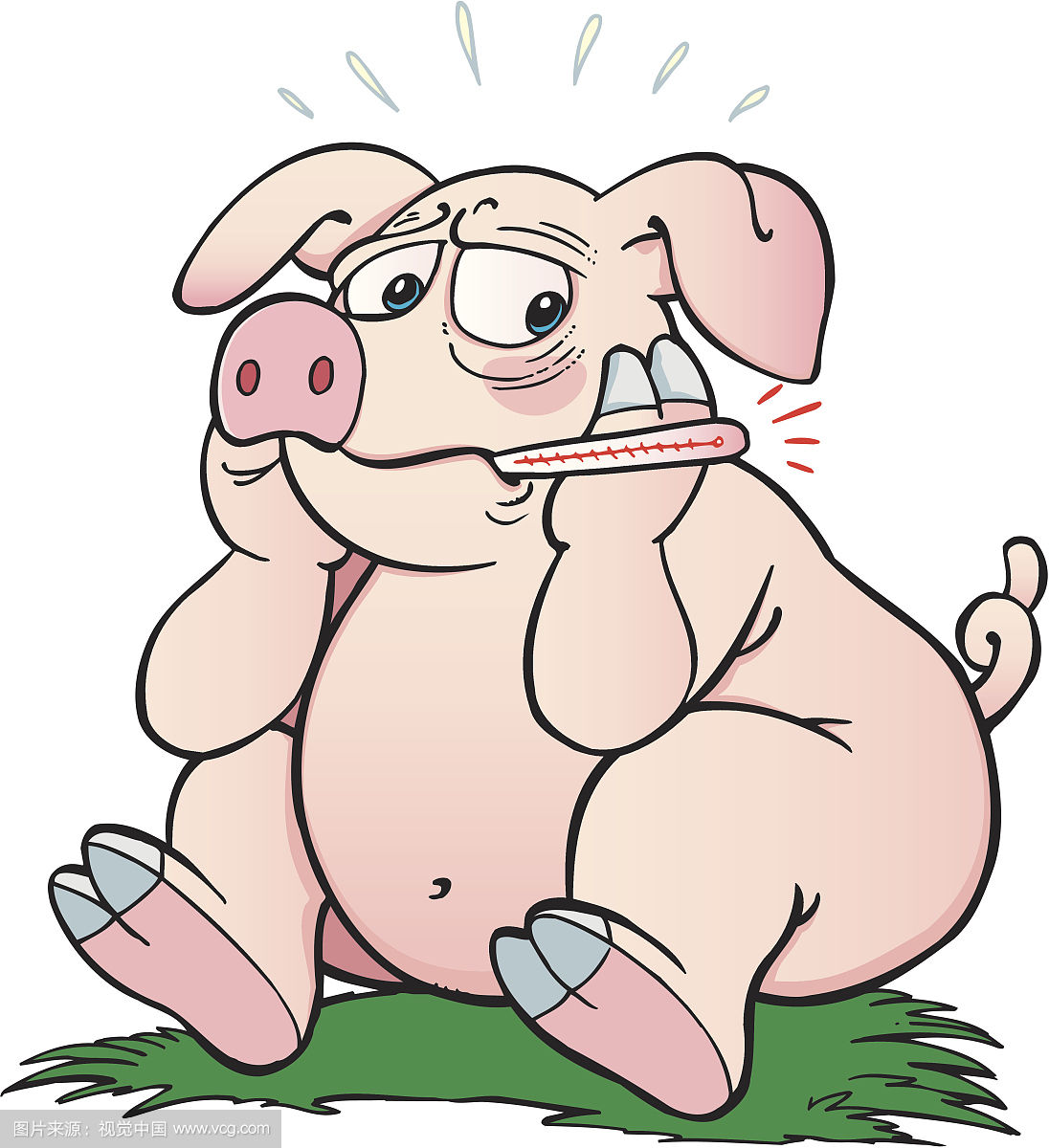 猪场常见疾病及治疗方法,猪场ped治疗方案