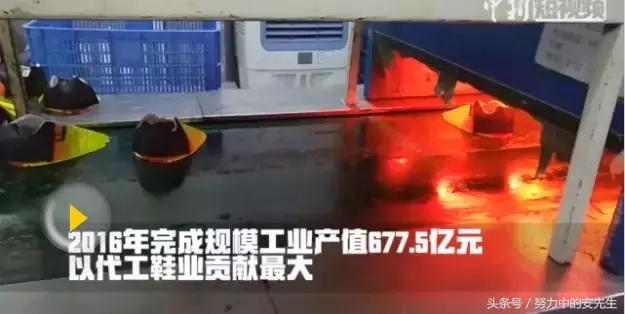 世界顶级运动鞋代工厂,运动鞋代工厂店铺推荐