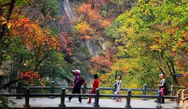 河南安阳自驾游必去的十个景点,河南洛阳周边自驾游免费景点