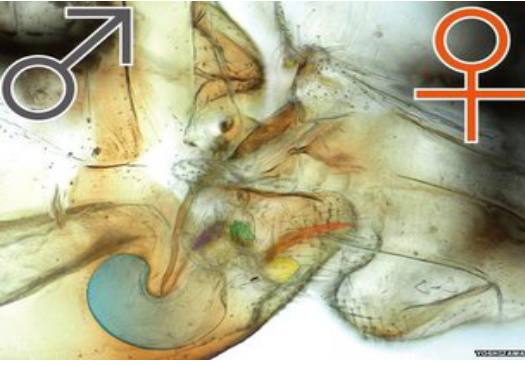 胜者为王败者为奴隶,胜者为王败者为奴