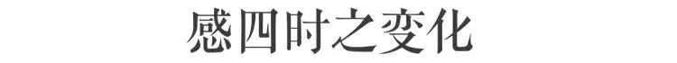 拥有季节感,是过上精致生活的第一步