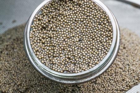 最顶级六种鱼子酱,正宗鱼子酱有哪几种