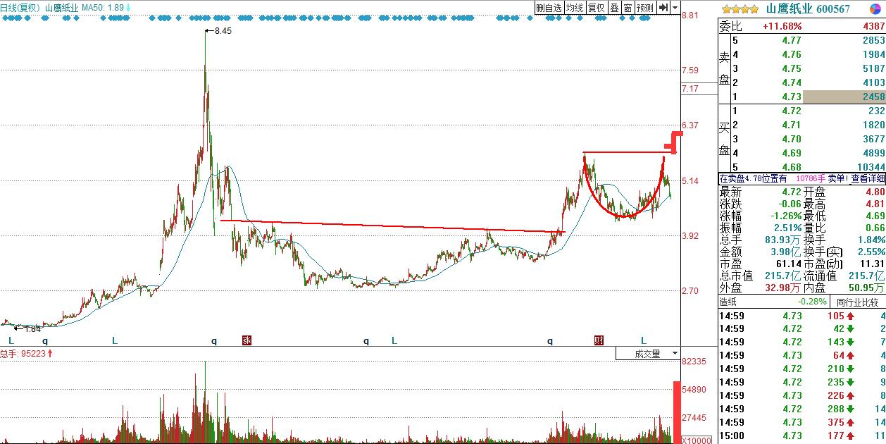 2020造纸龙头股有哪些,造纸行业的龙头股