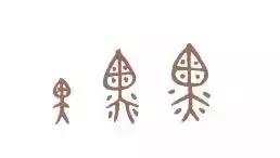 看到这些汉字,我感觉自己的语文白学了!