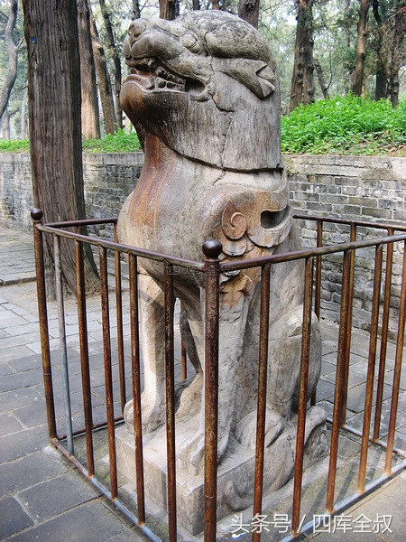 孔林山东曲阜,曲阜孔林古会