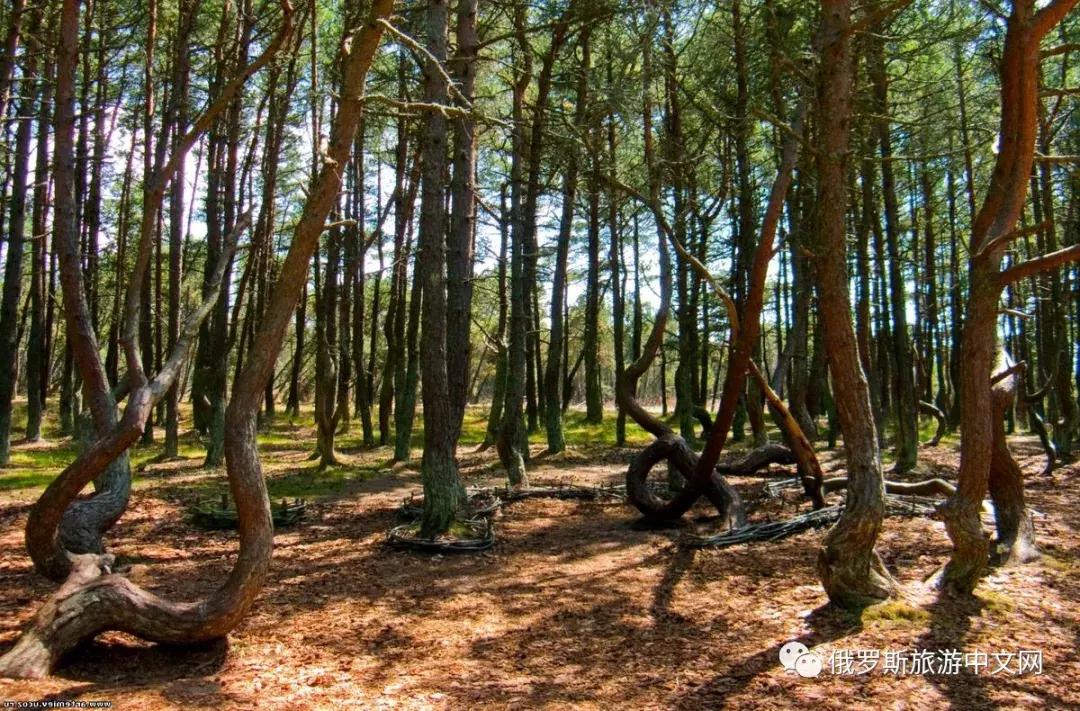 世界遗产名录喀斯特,俄罗斯世界遗产教堂