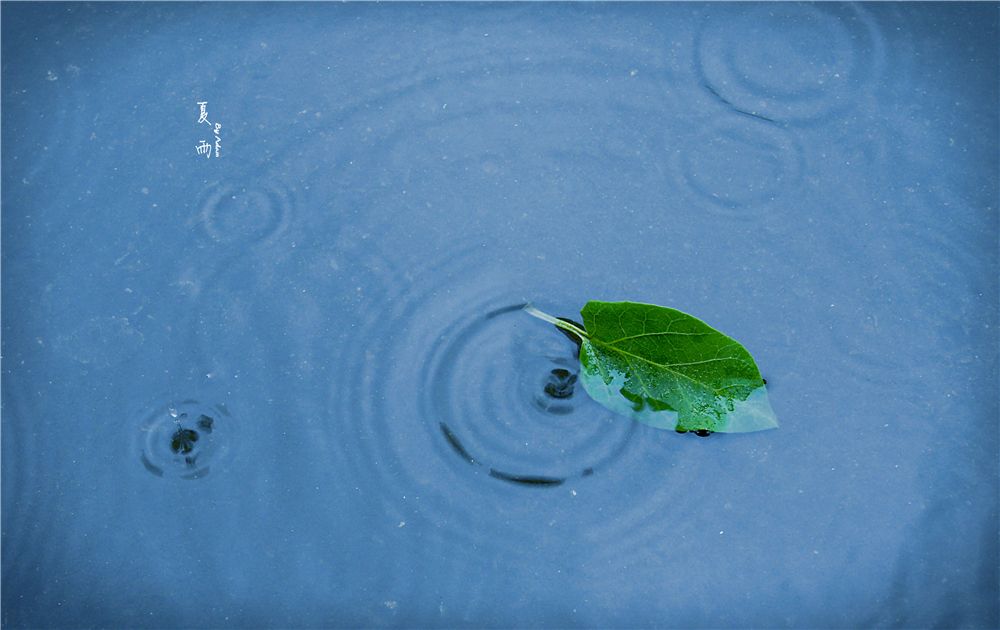 淋雨的感觉真的很好,淋雨的感觉幽默说说