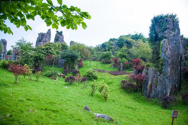广安华蓥瀑布景区,四川华蓥山石林