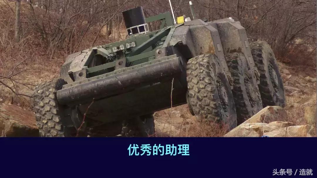 仿人机器人对对人类的影响,仿人机体机器人