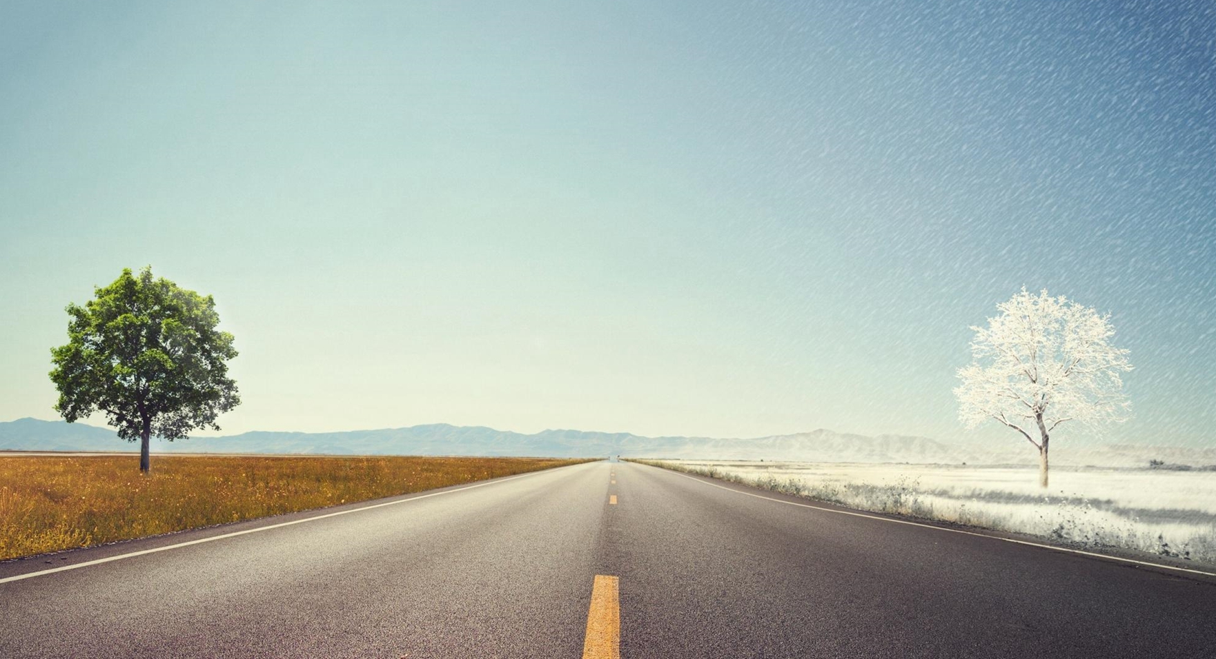 当楠木邂逅中式风，“诗和远方”尽在其间