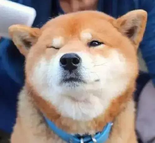 ysl口红必买系列,ysl口红怎么送比较有惊喜