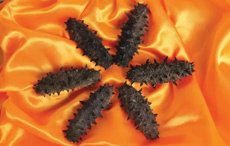 干海参的鉴别方法有哪些,干海参鉴别最简单方法