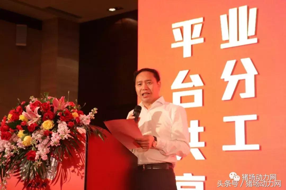 双胞胎饲料产能,双胞胎饲料销量