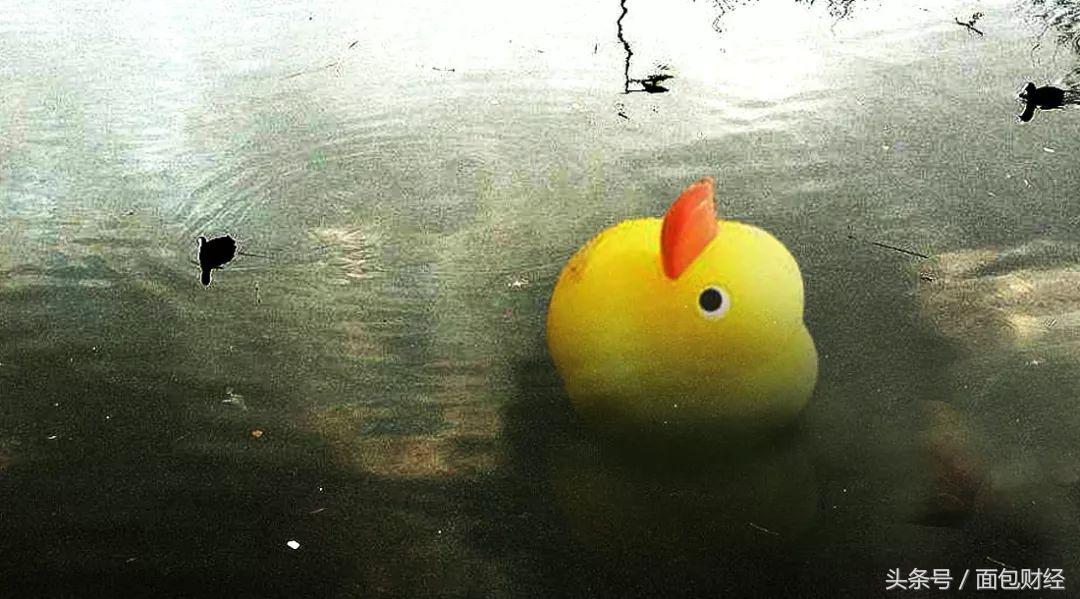 绝味食品上半年净利润首次下滑,绝味食品二季度净利润