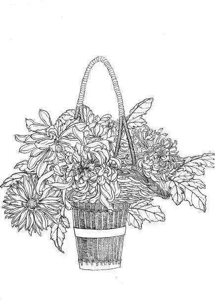 入门白描花卉菊花视频,白描菊花国画如何上色