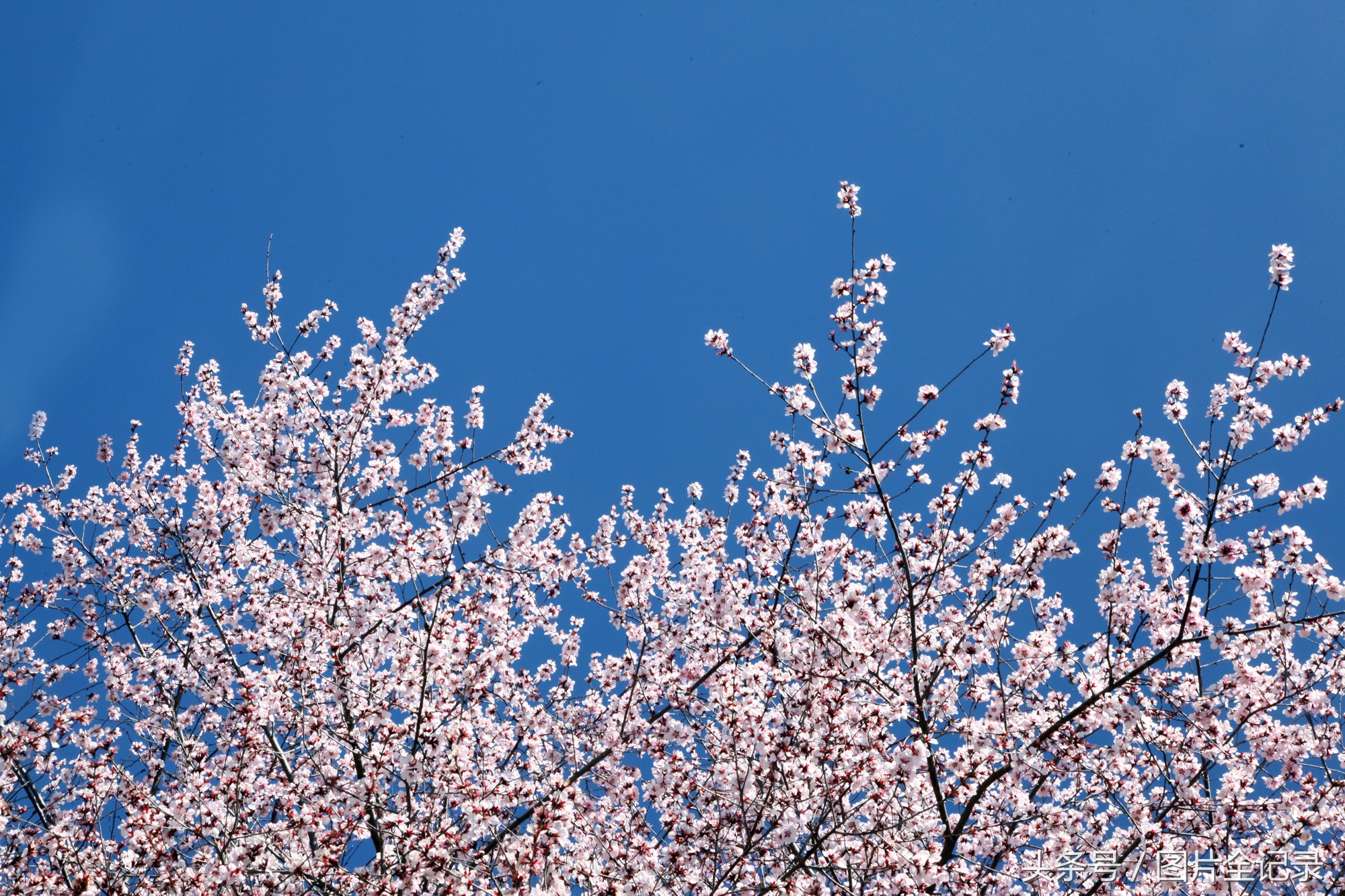 山西吉县人祖山景区,山西吉县人祖山介绍