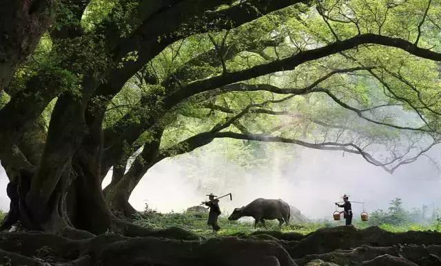 这些汉字倒过来你还认识吗,这些汉字单独拿出来你还认识吗