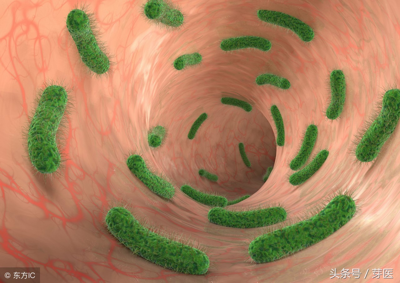 别拿豆包不当干粮，女生们，别把尿路感染不当回事儿
