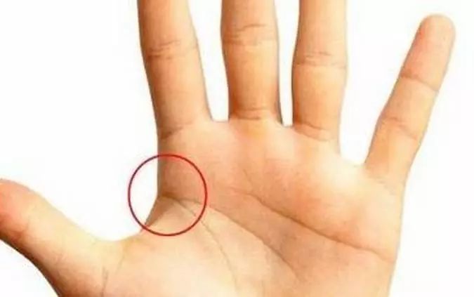 左手握资产右手握税源,左右手掌纹都代表什么运势