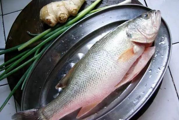 吃鱼最给宝宝补DHA，但哪些鱼最富含DHA又低汞？