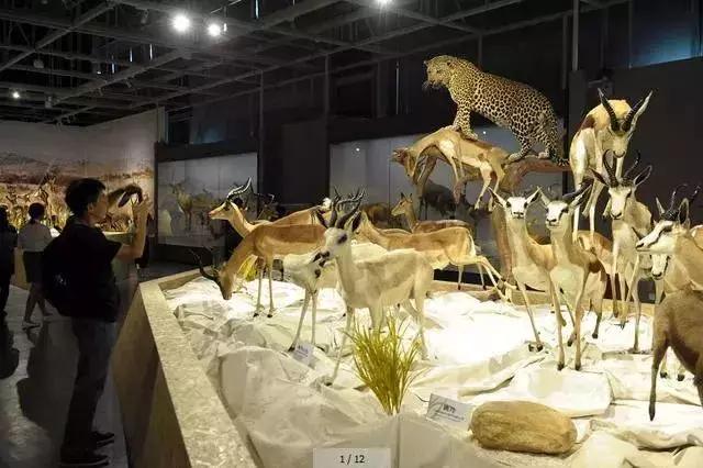 武汉未来50个新地标,武汉将添4个新地标选址公布