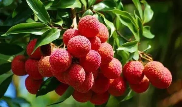 保亭七仙岭雨林仙境温泉度假别墅,海南保亭雨林仙境山湖墅