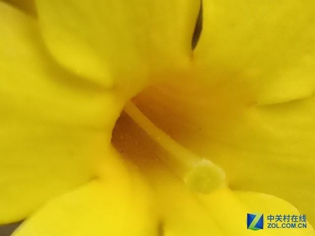 2020年再看oppor15怎么样,oppor15梦镜版与标准版测评