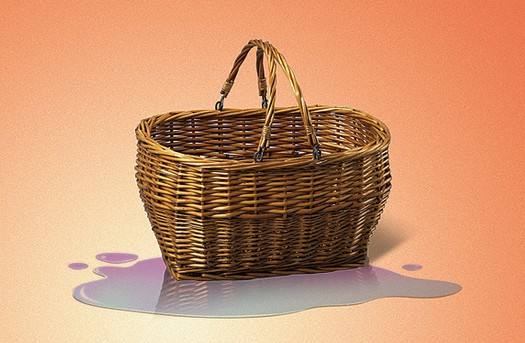 蜜蜂和苍蝇在瓶子里谁先飞出去,苍蝇蜜蜂玻璃瓶实验