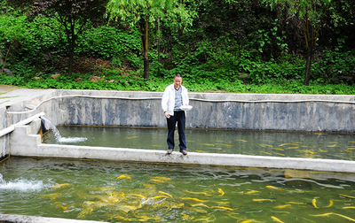 陇南民歌最好听的歌曲,陇南最有名的三字歌