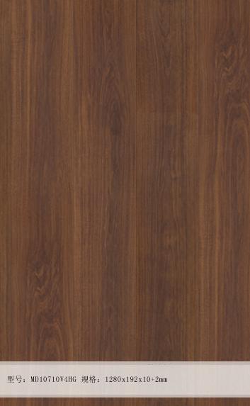 娌崇晹灏忔邯,娌崇晹灏忔邯姝岃瘝