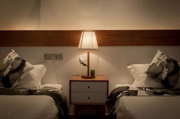 两个闺蜜去拉萨,两个闺蜜去清迈