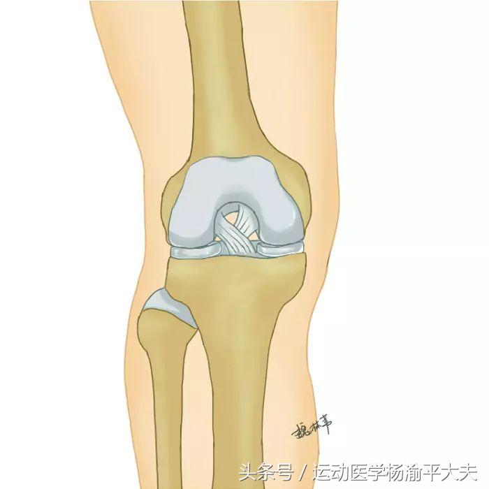 半月板撕裂保守治疗哪个膏药好,半月板后角撕裂的最好治疗方法