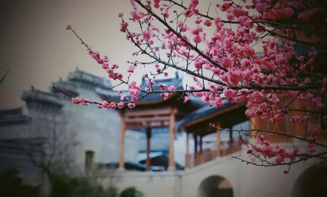 东阳有个慶蘭名宿,仿佛住进了博物馆,到处是珍藏级别的艺术品。